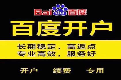 某行业SEM投放效果显著案例分享